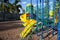 Modern colorful kids playground - swings, slides, steps and ladders. Outdoor plastic playing area for children