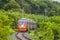 Modern commuter passenger red train is traveling along a single-track railway