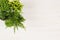 Modern composition of assortment green conifer plants in pots top view on white wooden board background.