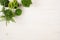 Modern composition of assortment green conifer plants in pots top view on white wooden board background.