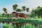 Modern contemporary tropical style wooden farmhouse with a large balcony close to a lotus pond 3d render