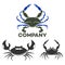 Modern crab logo. Vector illustration.