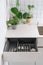 Modern cupboard with drawer for storage cutlery at kitchen with green plants