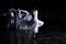 Modern Dance performance 1