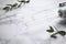 Modern darsonval with nozzles and tree branches on white marble table, closeup