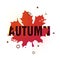 Modern design of the season fall poster. Autumn text on white background of a colored silhouette of a maple leaf. Decor