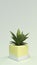 Modern design square pot with fake plastic plant against light green background. With copyspace available.