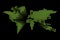 Modern dotted World map. Green futuristic technology design on dark background. Vector illustratuon