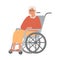 Modern elderly disabled woman in wheelchair. Old lady grandmother character on white background. Nursing home. Senior