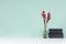 Modern elegant home workplace with black books, glass vase with red branch in green mint menthe interior on white wood table.