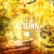 Modern fall background. Blurred forest in sunny day. Golden coloured trees. Hello autumn greeting card with maple leaf