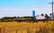 Modern farm produce storage system. Farm animals on a corn farm following harvest