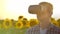 A modern farmer in a field with sunflowers uses virtual reality glasses and gestures to control the watering map and