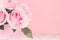 Modern fashion home interior in elegant style and pink color - rich lush roses in basket on white wood board, copy space, closeup.