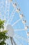 Modern Ferris Wheel in Amusement Park