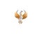 Modern Flaming Phoenix Bird Logo Icon Design