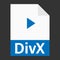 Modern flat design of DivX file icon for web