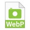 Modern flat design of WebP file icon for web