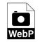 Modern flat design of WebP file icon for web