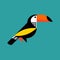 Modern flat style illustration of colorful toucan