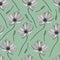 Modern floral pattern. Wildflowers pattern. Light green background, white flowers. Adonis, Echinacea, Chamomile. Vector