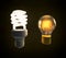 A modern fluorescent and vintage incandescent light bulb side by