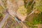 Modern forest harvester in an autumn forest from above