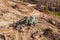 Modern forest machine in a felled forest from above