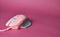 Modern gaming mouse. Pink gaming mouse. The concept esports