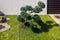 Modern Garden design with large stones. Cloud pruned topiary tree.