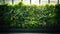 Modern gardening landscaping design details. Urban eco friendly vertical garden indoors. Green living wall with