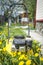 Modern gasoline powered grass mower stands on fresh green lawn in summer garden