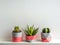 Modern geometric concrete planters. Beautiful painted concrete pots