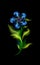 Modern glowing blue flower. Colorful cosmic floral element in black background. Beautiful trendy illuminated ornaments with