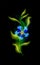 Modern glowing blue flower. Colorful cosmic floral element in black background. Beautiful trendy illuminated ornaments with