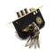 Modern gold and black lock with bunch of keys