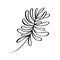 Modern grass leaf vector abstrac illustration. Black and white line art style. Isolated Exotic jungle contemporary