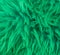 Modern green soft hairy animal skin macro closeup texture background