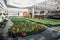 Modern greenhouse nursery or glasshouse, industrial horticulture, cultivation of seedlings of ornamental plants and flowers