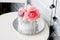 Modern grey cake with pink peony flowers, chocolate and macaroons for a wedding or a celebration. White background