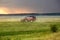 Modern heavy harvester removes the ripe wheat bread in field before the storm. Seasonal agricultural work