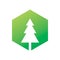 Modern hexagon green anture leaf tree logo design