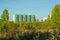 Modern high-rise buildings peek out from behind a clearing in the forest