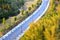 modern highway and beautiful forest