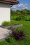 Modern home garden design detail with various grass plants