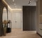 Modern home interior design. Modern apartment entrance or hallway.