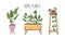 Modern home stand plants in colorful pots, hand drawn set of flowers