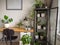 Modern industrial black and white study room with numerous green houseplants such as pancake plants and cacti