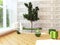 Modern interior design scene with a tree inside