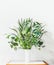 Modern interior with table and vase with green tropical plant bunch on empty white wall background